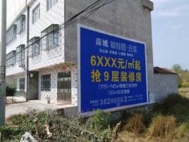 南丰墙体广告质量分析