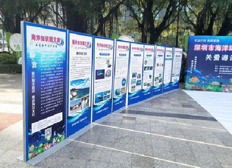 南丰KT板的种类和知识。